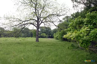 000 Brushy Branch Road, Lockhart, TX 78644 - Photo 14