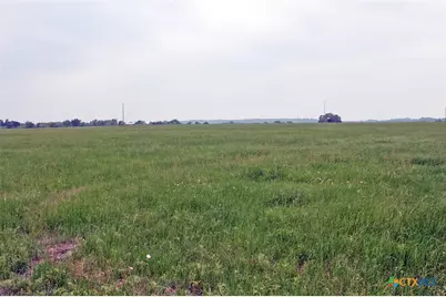 00 Brushy Branch Road, Lockhart, TX 78644 - Photo 14