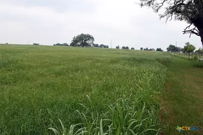 00 Brushy Branch Road, Lockhart, TX 78644 - Photo 10