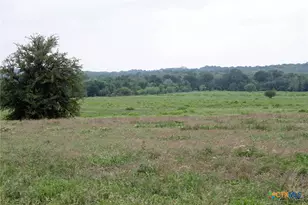 00 Brushy Branch Rd, Lockhart, TX 78644 - Photo 18