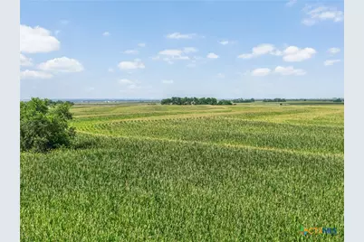 18108 Werchan Lane, Coupland, TX 78615 - Photo 8