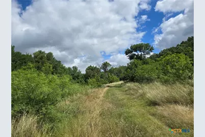 Tbd-End Bunnell Road, Purmela, TX 76566 - Photo 4
