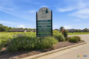 2604 Torino Reale Ave, Temple, TX 76502 - Photo 38