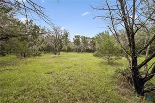 300 Bluff Rd, Spicewood, TX 78669 - Photo 38