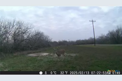 000 Pierce Road, Goliad, TX 77963 - Photo 6