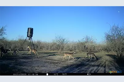 000 Pierce Road, Goliad, TX 77963 - Photo 8