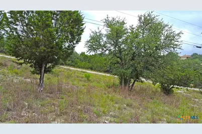 350 La Paloma Drive, Canyon Lake, TX 78133 - Photo 10
