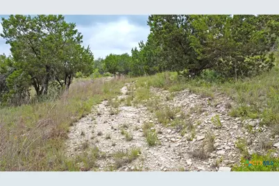 350 La Paloma Drive, Canyon Lake, TX 78133 - Photo 8