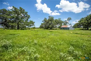 3226 State Hwy 119, Yorktown, TX 78164 - Photo 12