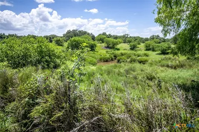 3226 State Highway 119, Yorktown, TX 78164 - Photo 18