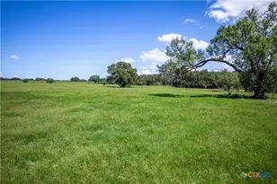 3226 State Hwy 119, Yorktown, TX 78164 - Photo 14