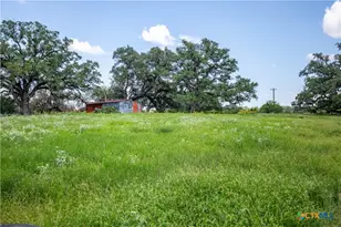 3226 State Hwy 119, Yorktown, TX 78164 - Photo 12