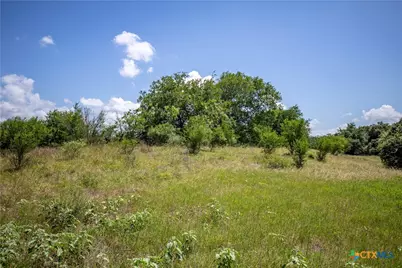 3226 State Highway 119, Yorktown, TX 78164 - Photo 14