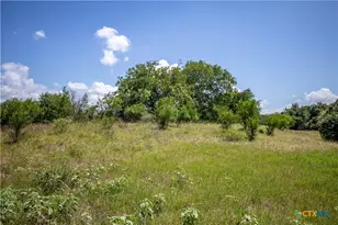 3226 State Hwy 119, Yorktown, TX 78164 - Photo 14