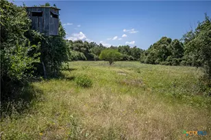 3226 State Hwy 119, Yorktown, TX 78164 - Photo 16