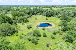 3226 State Hwy 119, Yorktown, TX 78164 - Photo 4