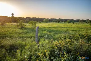 3226 State Hwy 119, Yorktown, TX 78164 - Photo 8