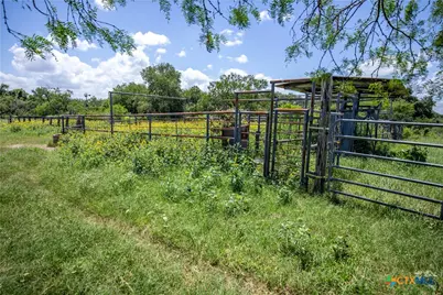 3226 State Highway 119, Yorktown, TX 78164 - Photo 26