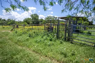 3226 State Hwy 119, Yorktown, TX 78164 - Photo 26