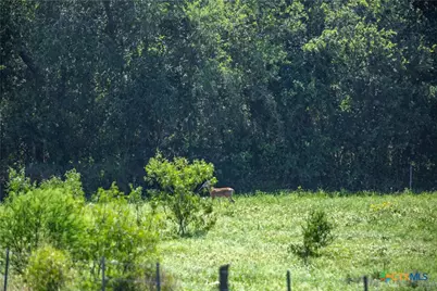 3226 State Highway 119, Yorktown, TX 78164 - Photo 44