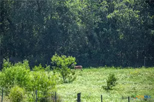 3226 State Hwy 119, Yorktown, TX 78164 - Photo 44