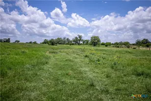 3226 State Hwy 119, Yorktown, TX 78164 - Photo 10