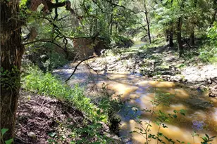 Tbd Cr 1139 575 Acres, Lampasas, TX 76550 - Photo 4