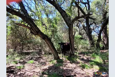 Tbd Cr 1139 575 Acres, Lampasas, TX 76550 - Photo 6