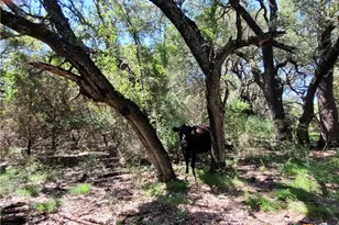 Tbd Cr 1139 575 Acres, Lampasas, TX 76550 - Photo 6