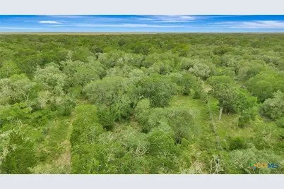4600 Fm-1862, Blessing, TX 77419 - Photo 12
