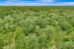 4600 FM1862, Blessing, TX 77419 - Photo 12