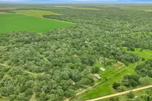 4600 FM1862, Blessing, TX 77419 - Photo 2