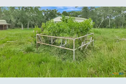 4600 Fm-1862, Blessing, TX 77419 - Photo 20