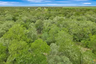 4600 FM1862, Blessing, TX 77419 - Photo 36