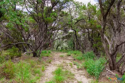 10614 Deer Canyon Rd, Jonestown, TX 78645 - Photo 28