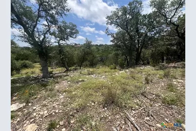 1252 Parton Road, Canyon Lake, TX 78133 - Photo 4