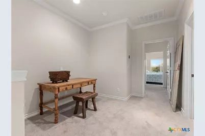 1033 Gruene Road, New Braunfels, TX 78130 - Photo 26