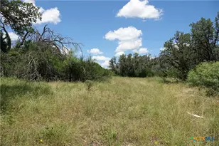 170 Co Rd 505, Goldthwaite, TX 76844 - Photo 28