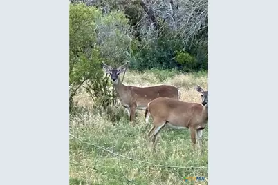 170 County Road 505, Goldthwaite, TX 76844 - Photo 22
