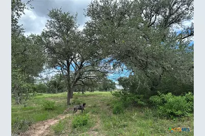 5 Burlin Lane, Meyersville, TX 77974 - Photo 2