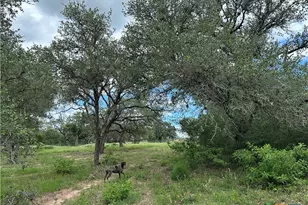 5 Burlin Ln, Meyersville, TX 77974 - Photo 2