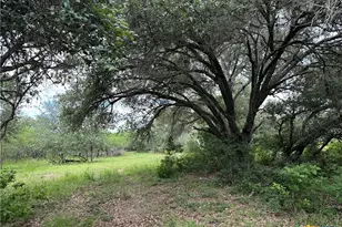 5 Burlin Ln, Meyersville, TX 77974 - Photo 4