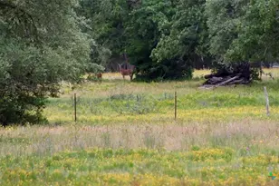 2035 Co Rd 400, Yoakum, TX 77995 - Photo 26