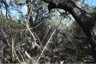 979 & 987 Deer Valley Pass, Spring Branch, TX 78070 - Photo 6