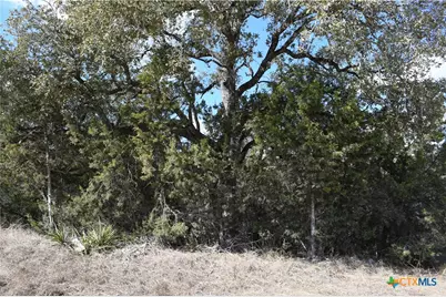 979 & 987 Deer Valley Pass, Spring Branch, TX 78070 - Photo 2