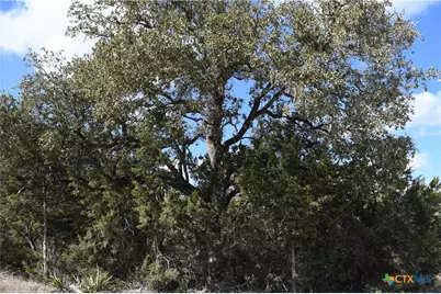 979 & 987 Deer Valley Pass, Spring Branch, TX 78070 - Photo 2