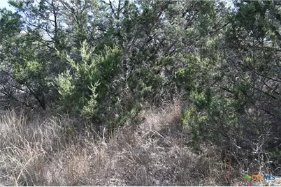 979 & 987 Deer Valley Pass, Spring Branch, TX 78070 - Photo 14