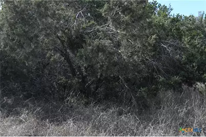 979 & 987 Deer Valley Pass, Spring Branch, TX 78070 - Photo 16