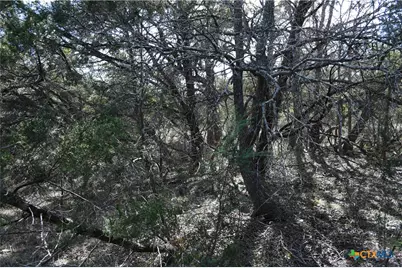 979 & 987 Deer Valley Pass, Spring Branch, TX 78070 - Photo 12