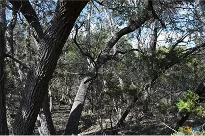 979 & 987 Deer Valley Pass, Spring Branch, TX 78070 - Photo 4